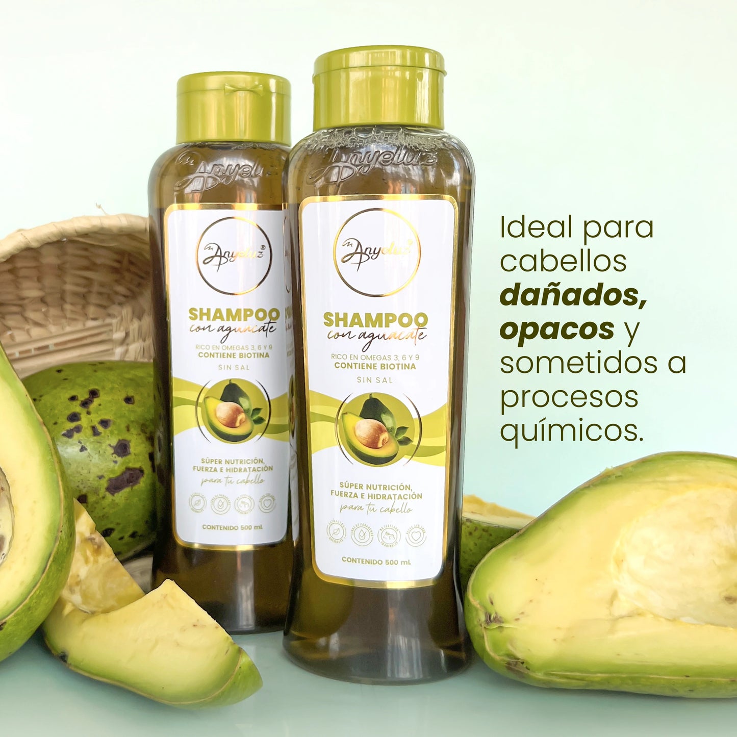 ANYELUZ SHAMPOO CON AGUACATE 500ML