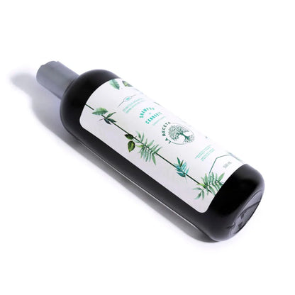 LA RECETA CBD SHAMPOO ARGAN 500 ML