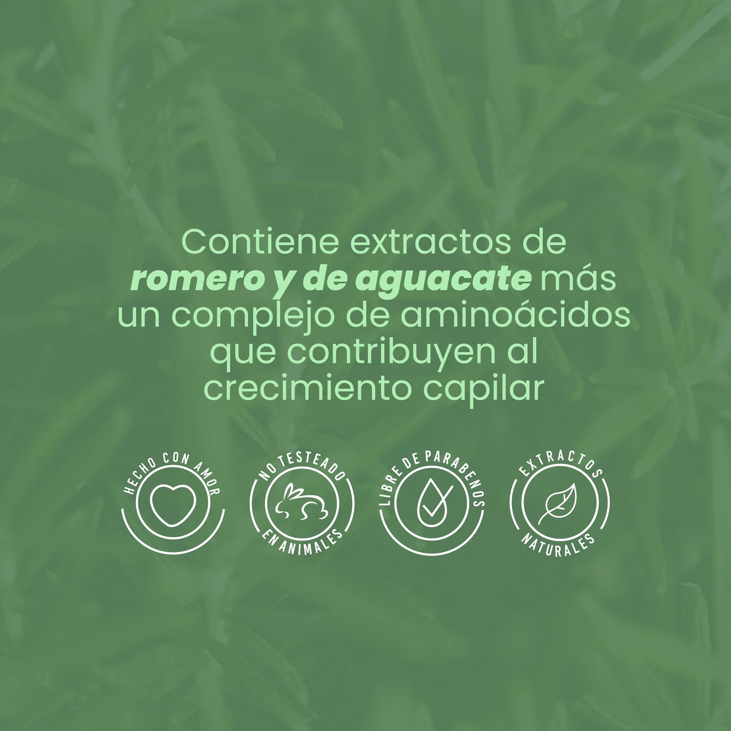 ANYELUZ BIOTERAPIA CAPILAR CON ROMERO Y BIOELIXIR 300ML