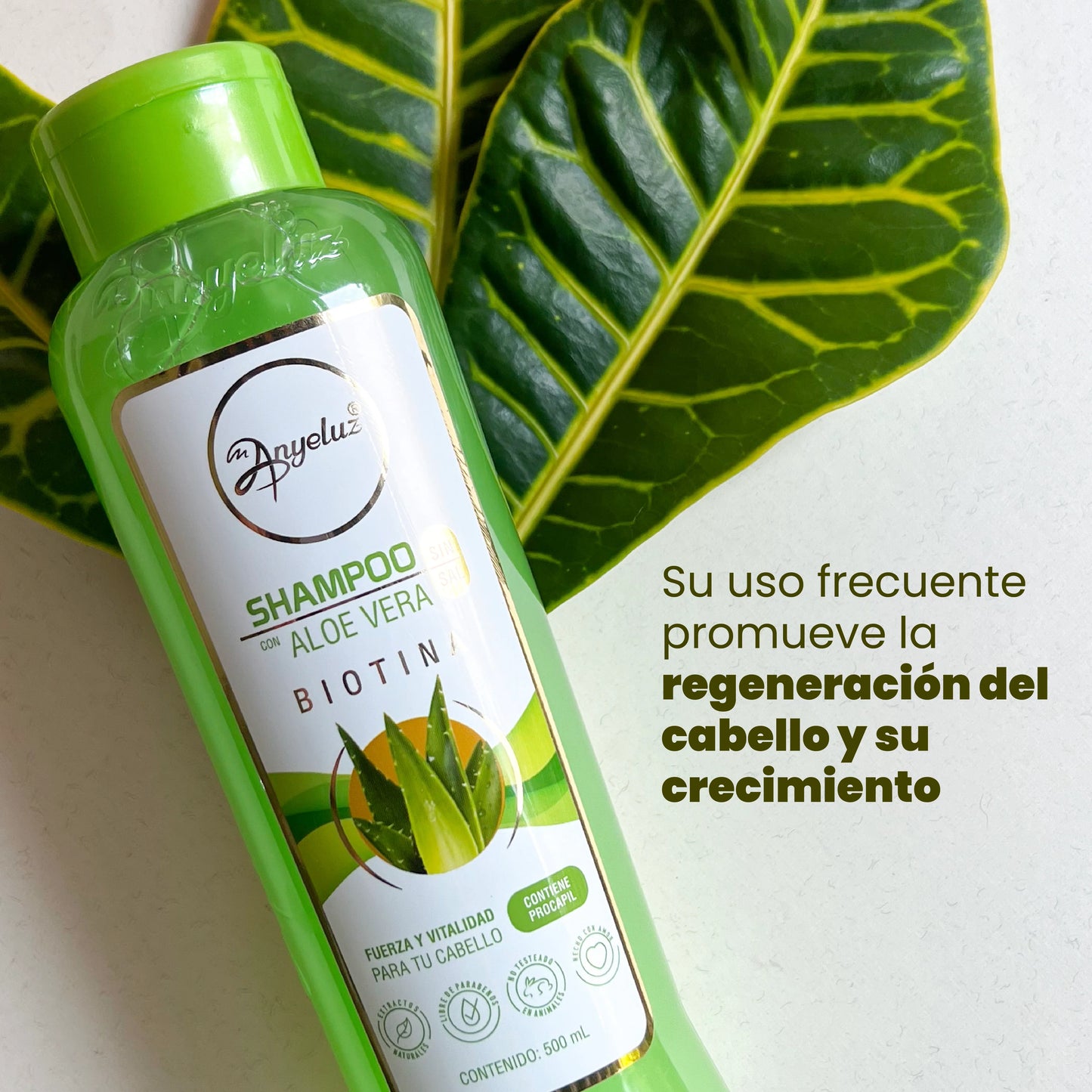 ANYELUZ SHAMPOO DE ALOE VERA