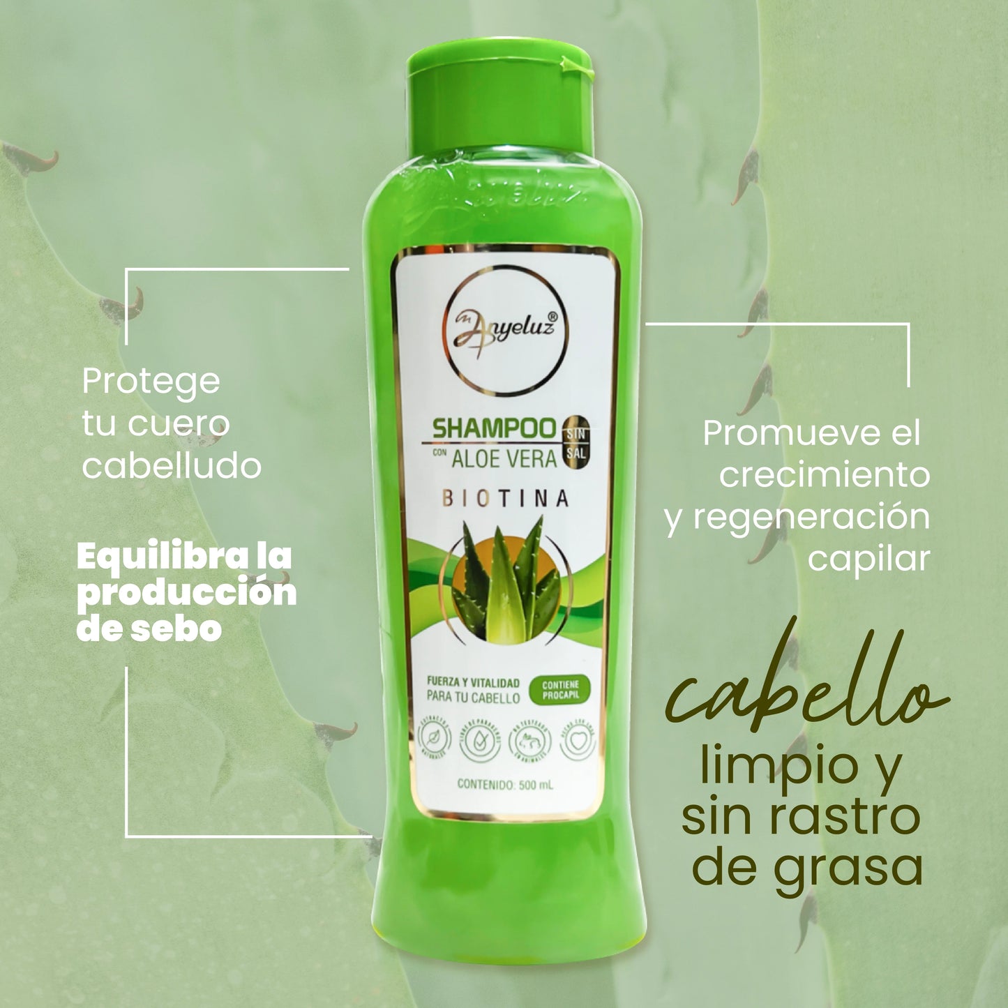 ANYELUZ SHAMPOO DE ALOE VERA