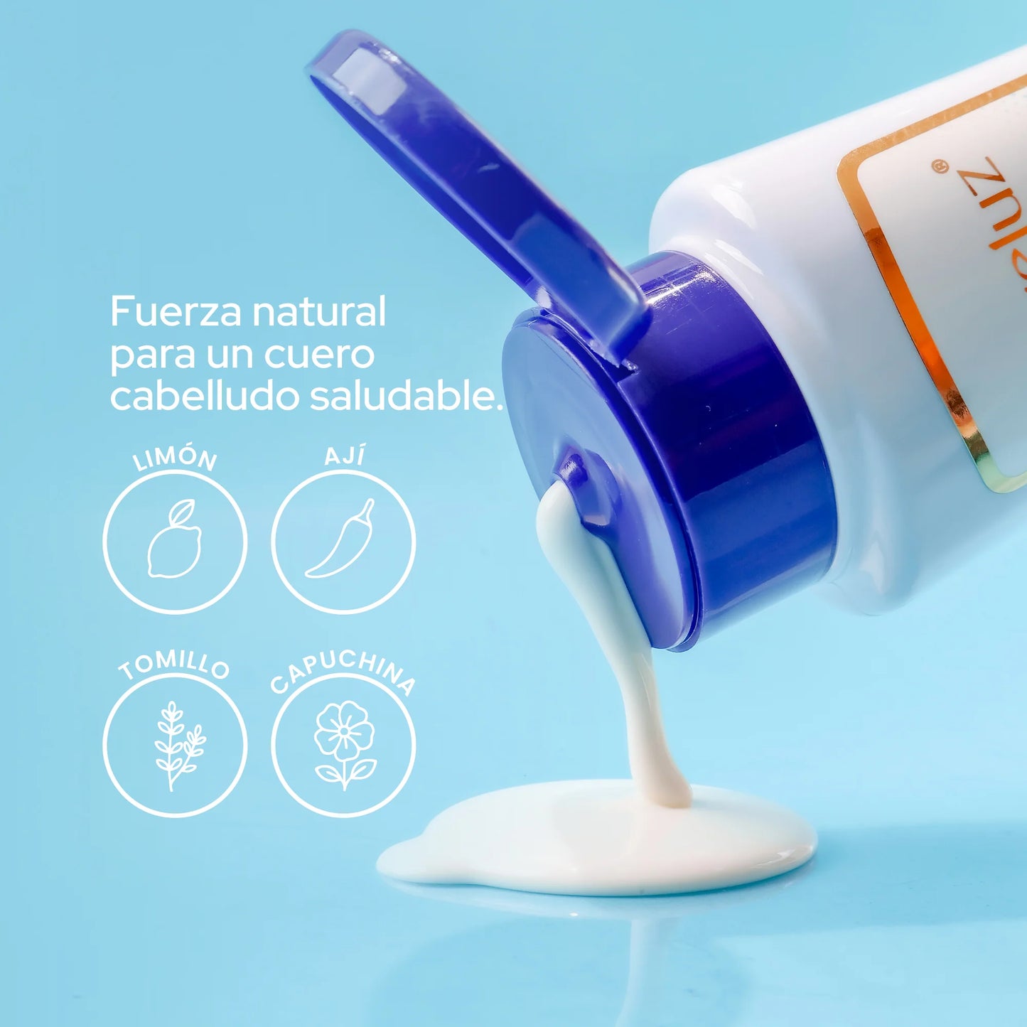 ANYELUZ SHAMPOO ANTICASPA 400ML