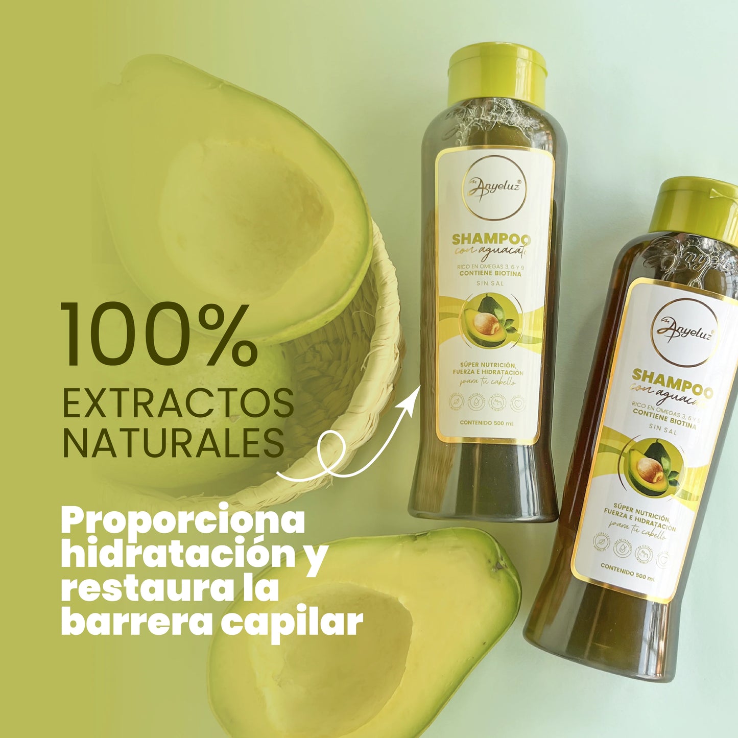 ANYELUZ SHAMPOO CON AGUACATE 500ML